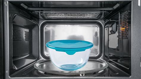 Can Pyrex Glass Go in the Microwave? And Why Do Cats Stare at It?