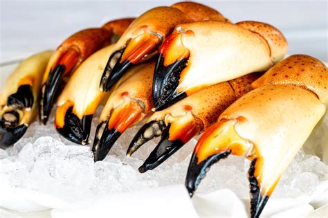 How to Eat Stone Crab Claws and Why They Might Just Be the Universe's Best-Kept Secret