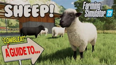 How to Feed Sheep FS22: A Comprehensive Guide to Virtual Livestock Management