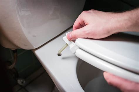 How to Remove Stuck Toilet Seat Plastic Bolts: A Journey Through the Labyrinth of Household Repairs