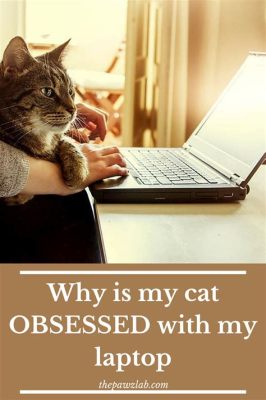 Is Glass Naturally Occurring? And Why Do Cats Love to Sit on Laptops?